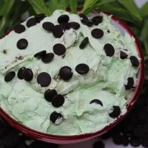 Mint chocolate chip ice cream in red bowl