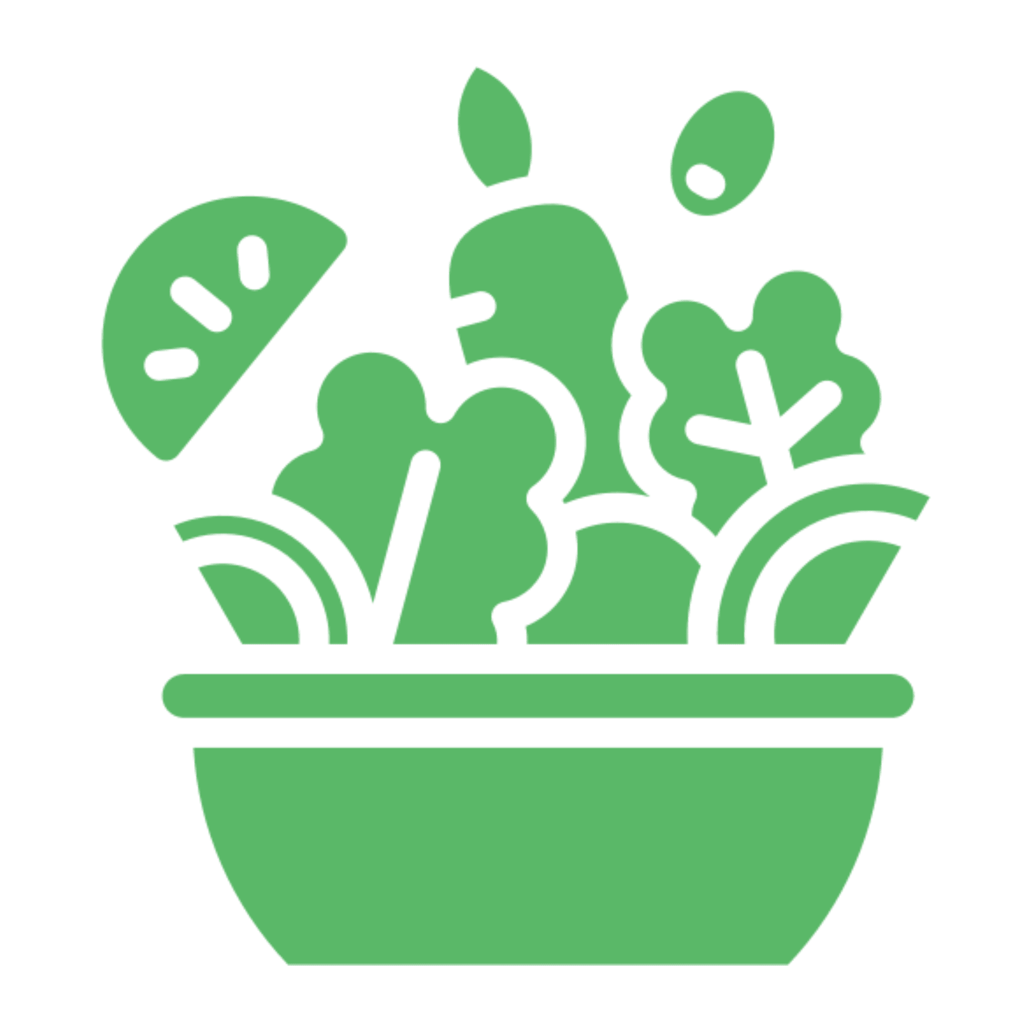 Miscellaneous Salads