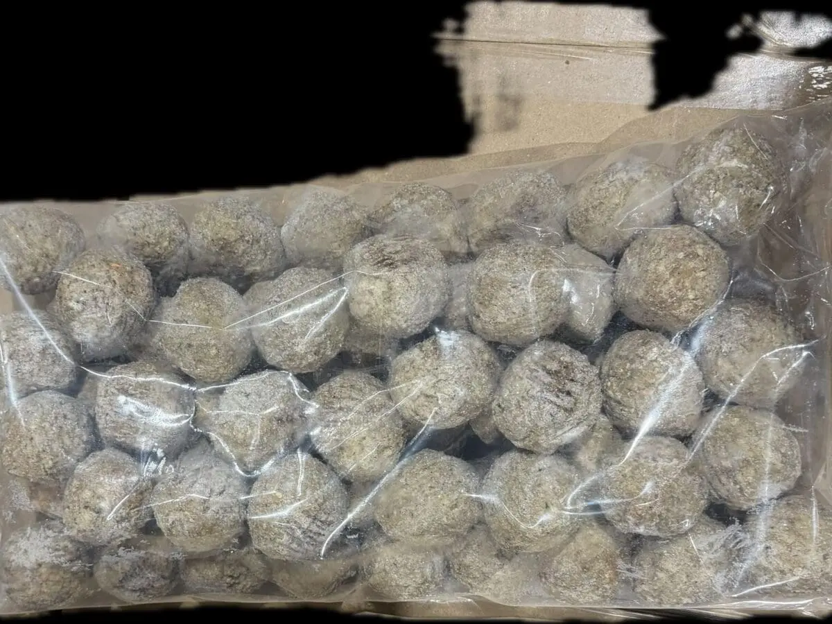 Clear bag of round peat moss pellets